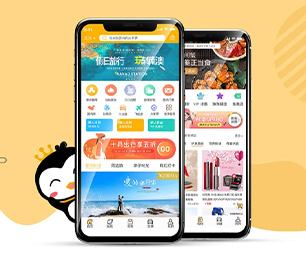 马鞍山APP开发基础电商系统用专业的技术，为您提供完美的解决方案【特惠大礼，感恩回馈】